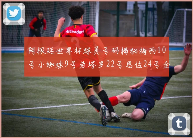 阿根廷世界杯球员号码揭秘梅西10号小蜘蛛9号劳塔罗22号恩佐24号全解析